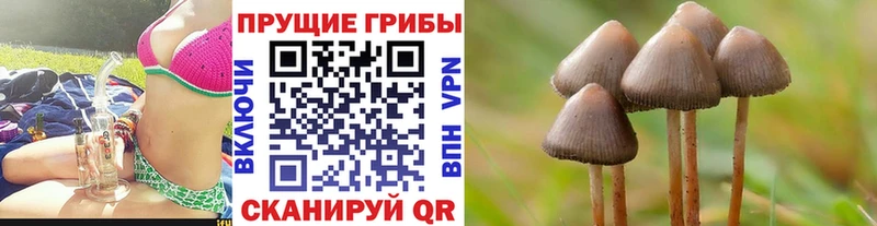 МЕГА зеркало  Тейково  Галлюциногенные грибы ЛСД 